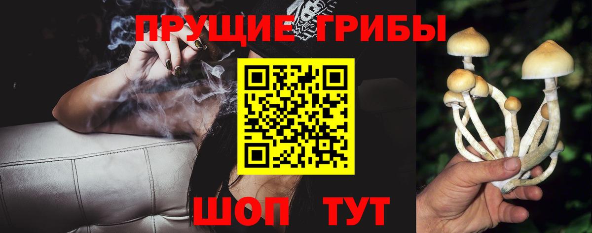 Псилоцибиновые грибы ЛСД  Псилоцибиновые грибы прущие грибы  Ейск  Вход с VPN 